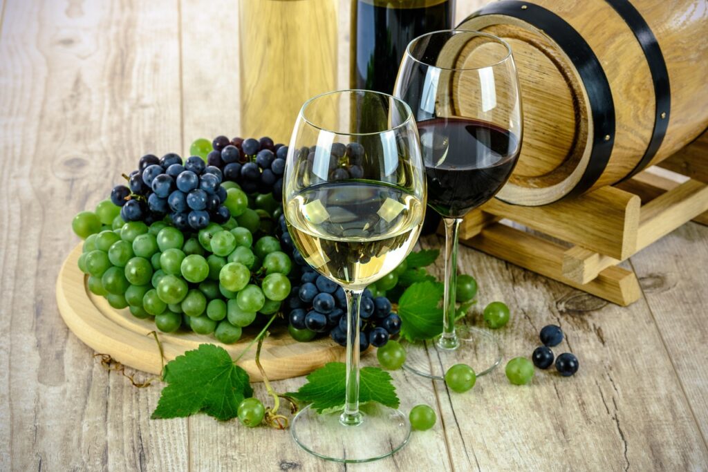 Los vinos de Aragón: Cariñena, Somontano, Calatayud y Borja